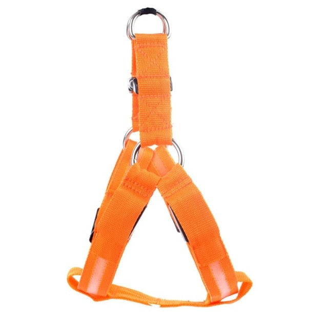 Hondentuigje met LED - Glow&Go
