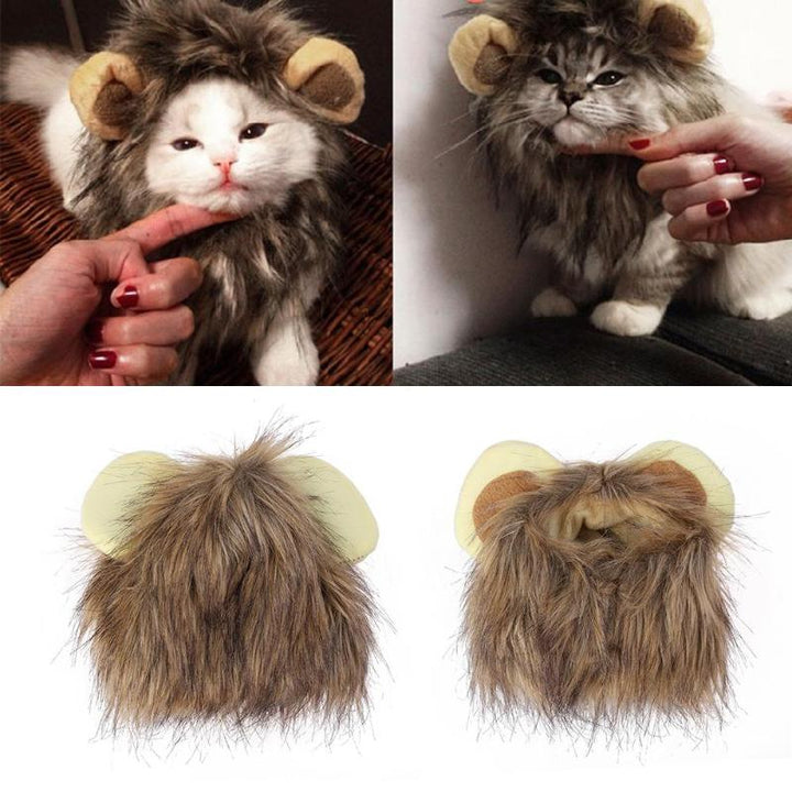 Lion Manes for Your Cat - LionPaws