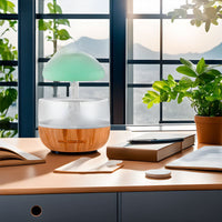 Designer Humidifier - RainCloud