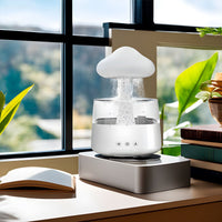 Designer Humidifier - RainCloud