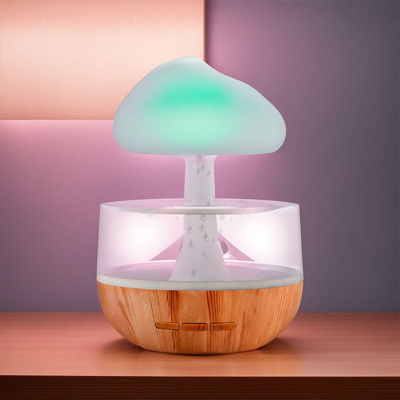 Designer Humidifier - RainCloud