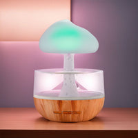 Designer Humidifier - RainCloud