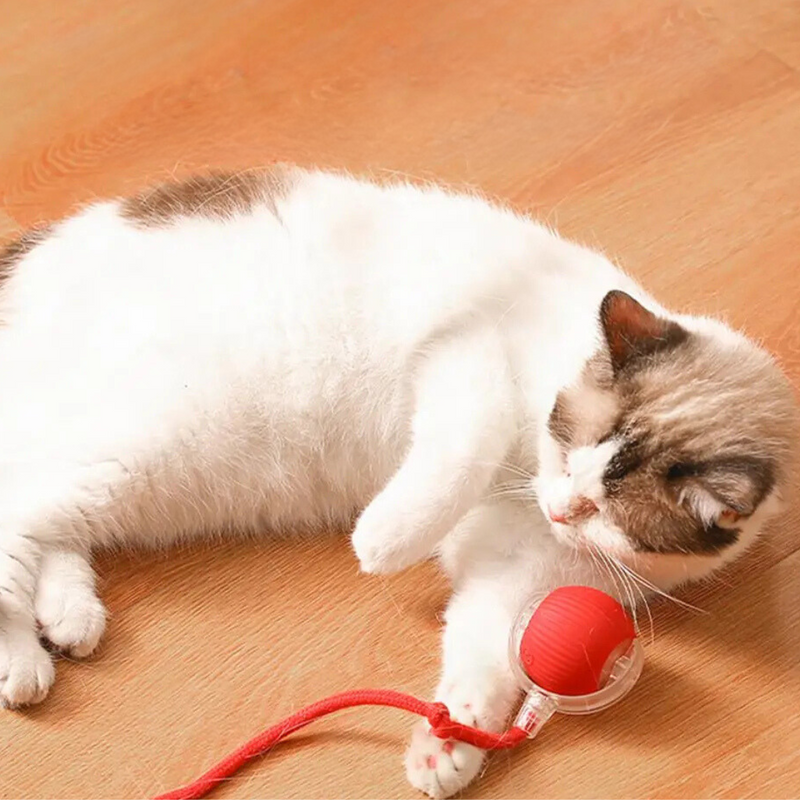 Interactieve Jagerbal voor Katten - PouncePal