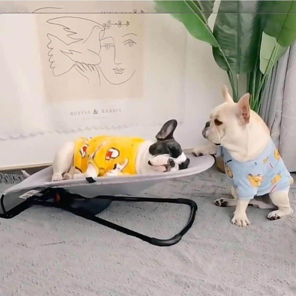 Luxe Schommelstoel voor Honden - Swingo
