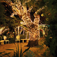 Solar-Powered Ambient Lighting - SoliGlow