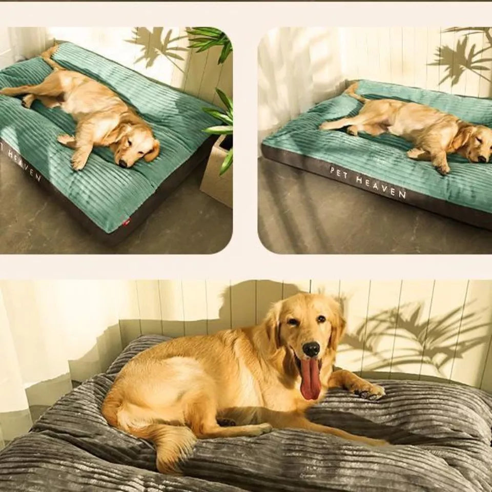 Orthopedic Dog Cushion with Removable Cover - SnuggleRest