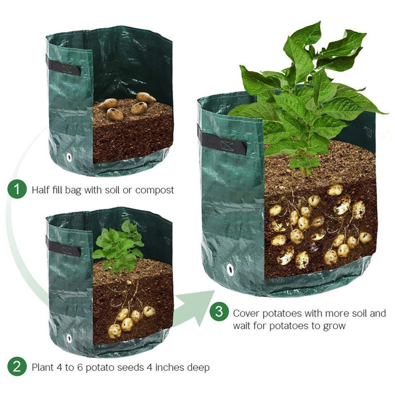 Grow Potatoes at Home: Smart Potato Grow Bag for Patio & Balcony 5