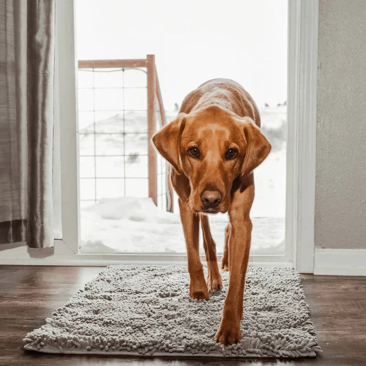 Super Absorbent Dog Mat – PawMat