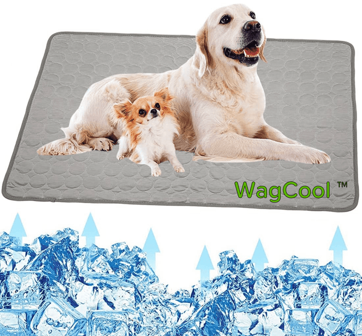 Verkoelende Hondenmat - CoolPet Mat