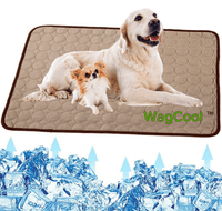 Verkoelende Hondenmat - CoolPet Mat