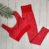Pixie Panther Workout Set | A sexy & tough sports set