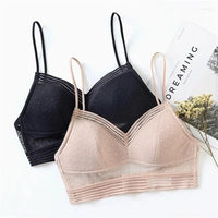 Backless Bra | With trendy polka dot mesh