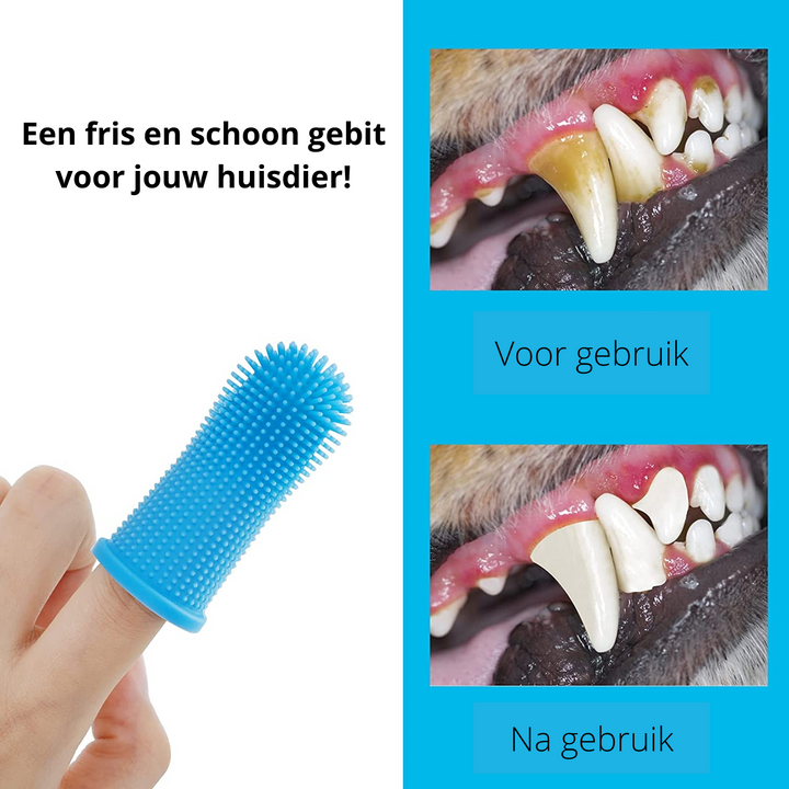 Dog Dental Cleaner | Safe material & easy to use