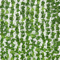 Sammy Jackson™ Evergreen™ | Ongeacht het seizoen zijn jouw bladeren levendig en groen!