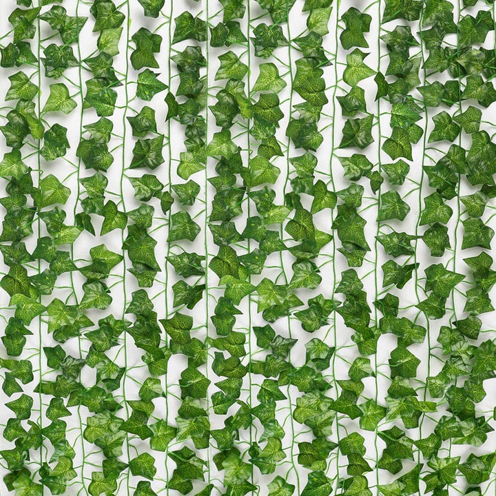 Sammy Jackson™ Evergreen™ | Ongeacht het seizoen zijn jouw bladeren levendig en groen!