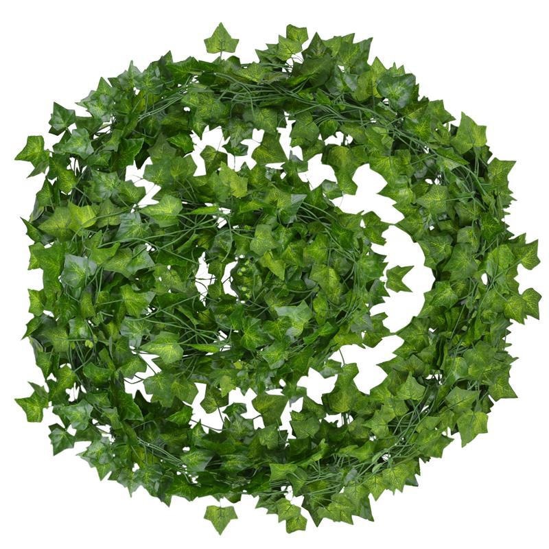 Sammy Jackson™ Evergreen™ | Ongeacht het seizoen zijn jouw bladeren levendig en groen!