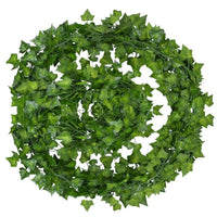 Sammy Jackson™ Evergreen™ | Ongeacht het seizoen zijn jouw bladeren levendig en groen!