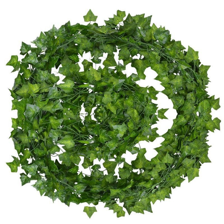 Sammy Jackson™ Evergreen™ | Ongeacht het seizoen zijn jouw bladeren levendig en groen!