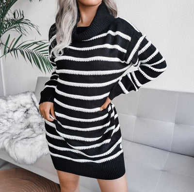 Grazia Sweater Dress | Turtleneck dress with stripe design