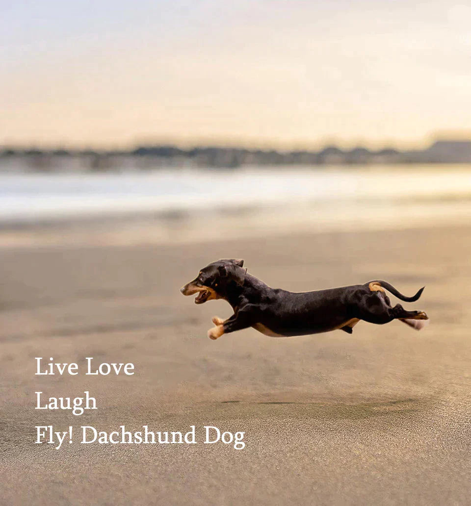 Cute Dachshund Ring | For the animal lovers among us!
