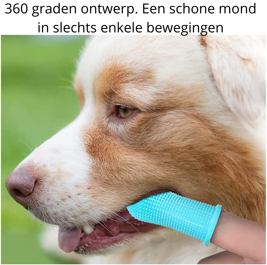 Dog Dental Cleaner | Safe material & easy to use