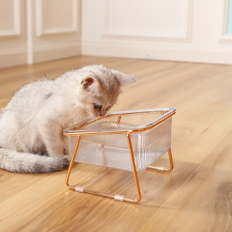 Trendy Feeding Bowl | Let your pets eat in style