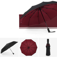 Sammy Jackson™ Windproof Stormparaplu | De paraplu die elke storm aankan