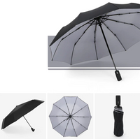 Sammy Jackson™ Windproof Stormparaplu | De paraplu die elke storm aankan