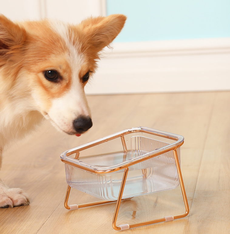 Trendy Feeding Bowl | Let your pets eat in style