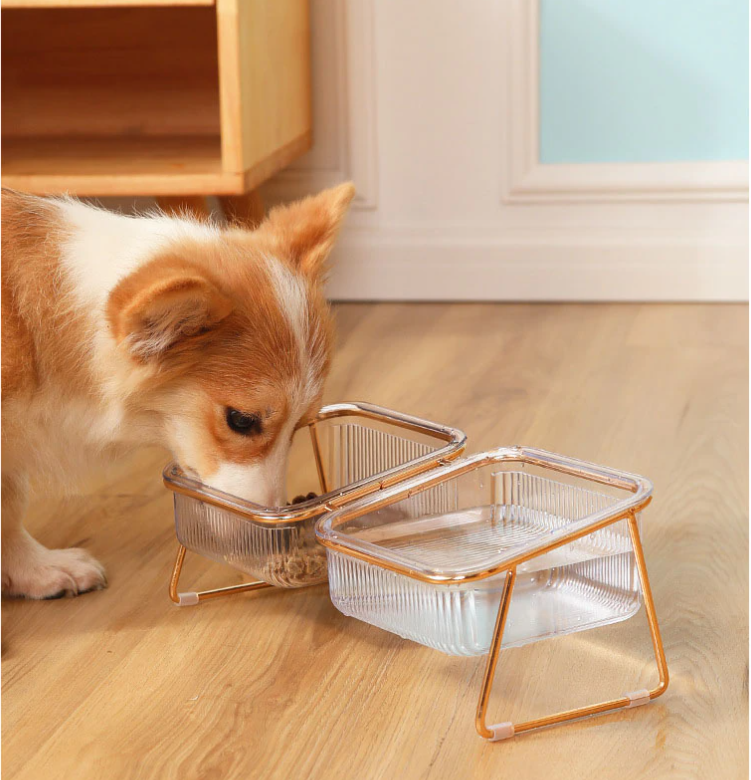 Trendy Feeding Bowl | Let your pets eat in style