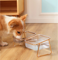 Trendy Feeding Bowl | Let your pets eat in style