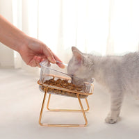 Trendy Feeding Bowl | Let your pets eat in style