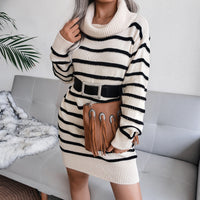 Grazia Sweater Dress | Turtleneck dress with stripe design