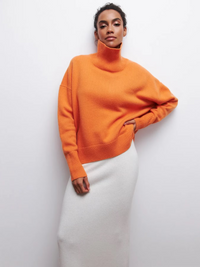 Phoebe Knitted Turtleneck | Stylish & Warm