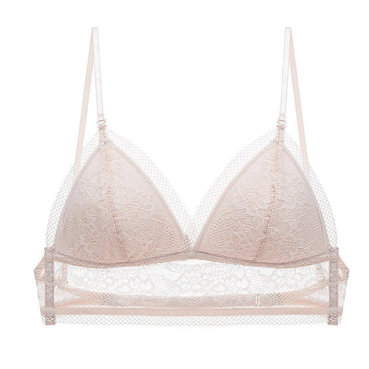 Mesh Lace Bra | With Stylish and Sexy Low Back